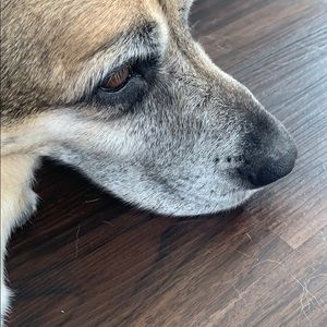 Meet your Posher, Jeffrey